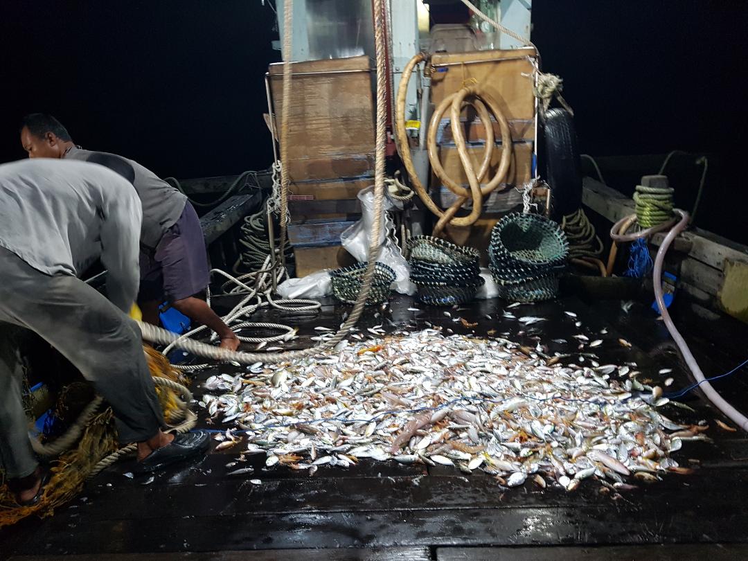 6 nelayan, 2 bot ditahan ceroboh Taman Laut