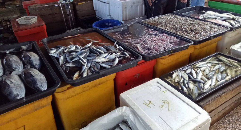 Harga ikan ‘low class’ di Terengganu mahal macam bedil?