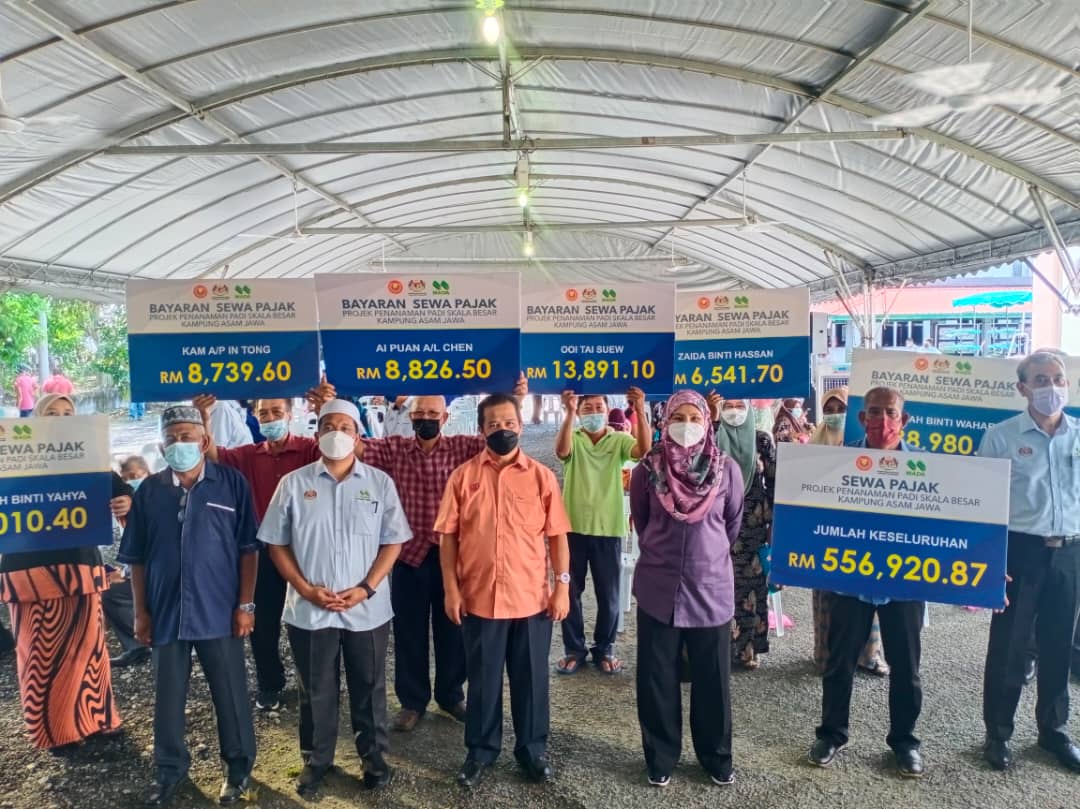 Bekalan benih padi di Kedah diyakini cukup, sampai tepat pada masa