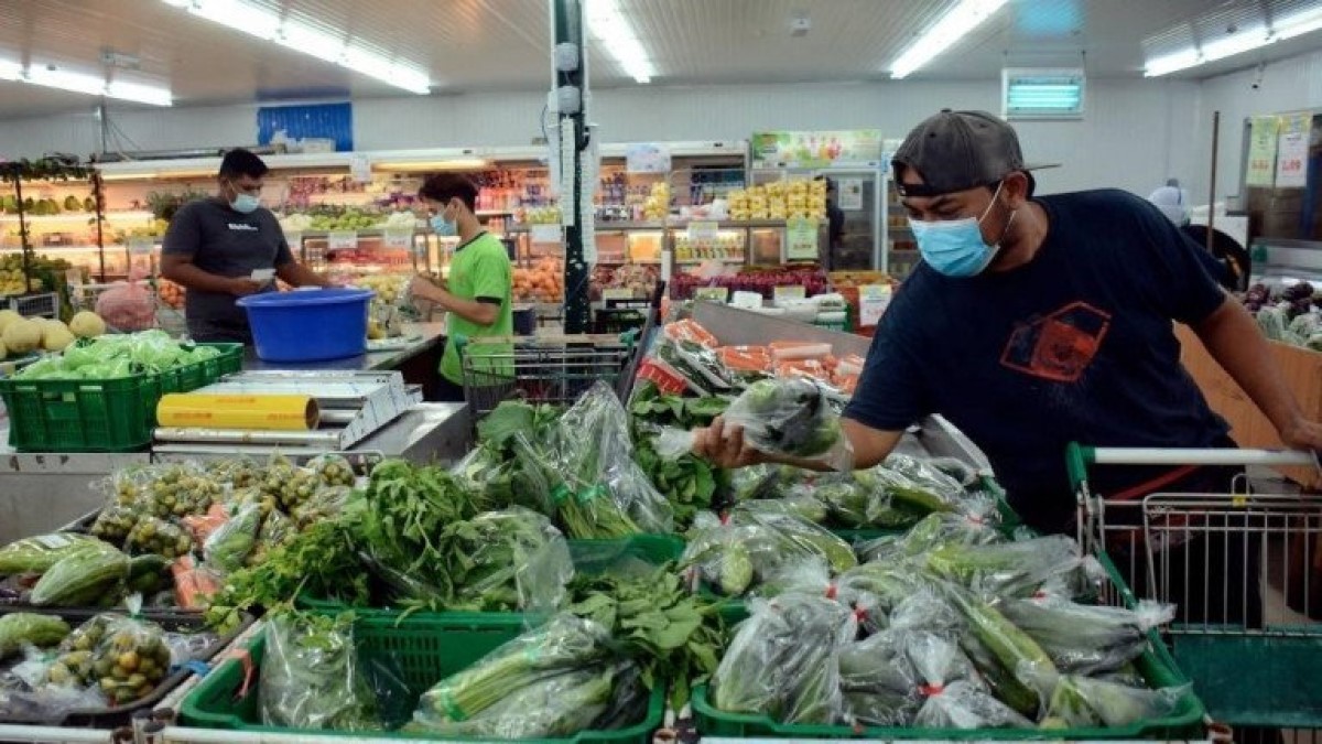 Kurang pekerja jadi alasan harga sayur naik mendadak