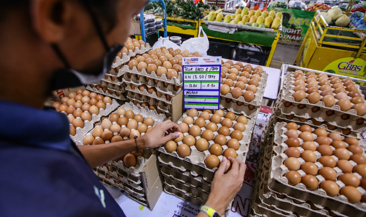 Telur oh telur… peniaga, suri rumah semakin gelabah