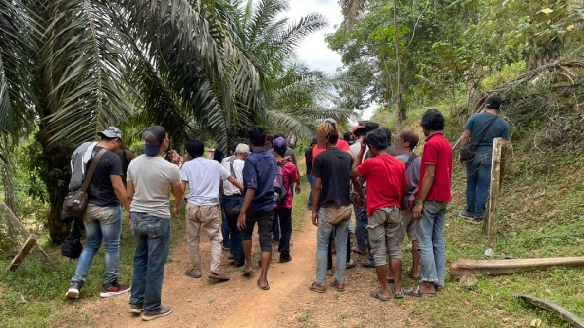 41 suspek penagih, tokan dadah 3 kawasan Felda dicekup