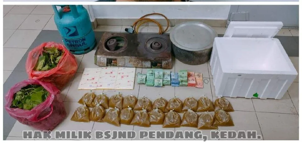 Raih pendapatan lumayan proses ketum belakang rumah