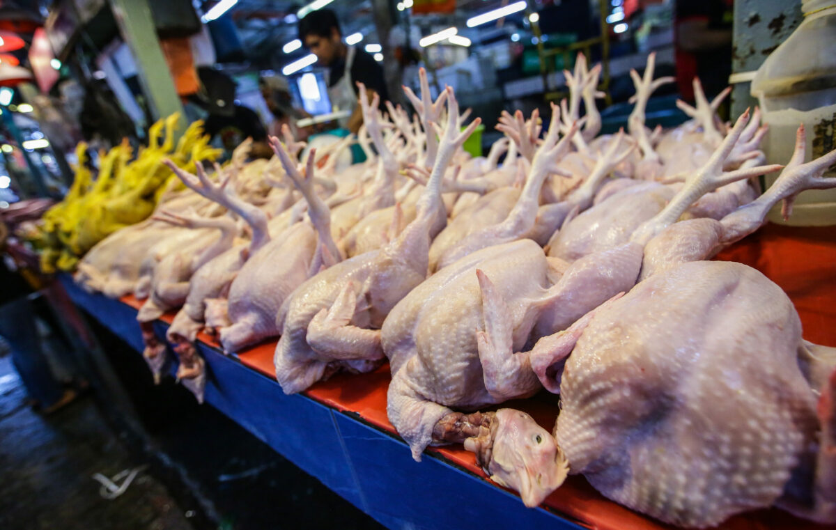 Kerajaan ambil kira kepentingan semua pihak sebelum naik harga siling ayam