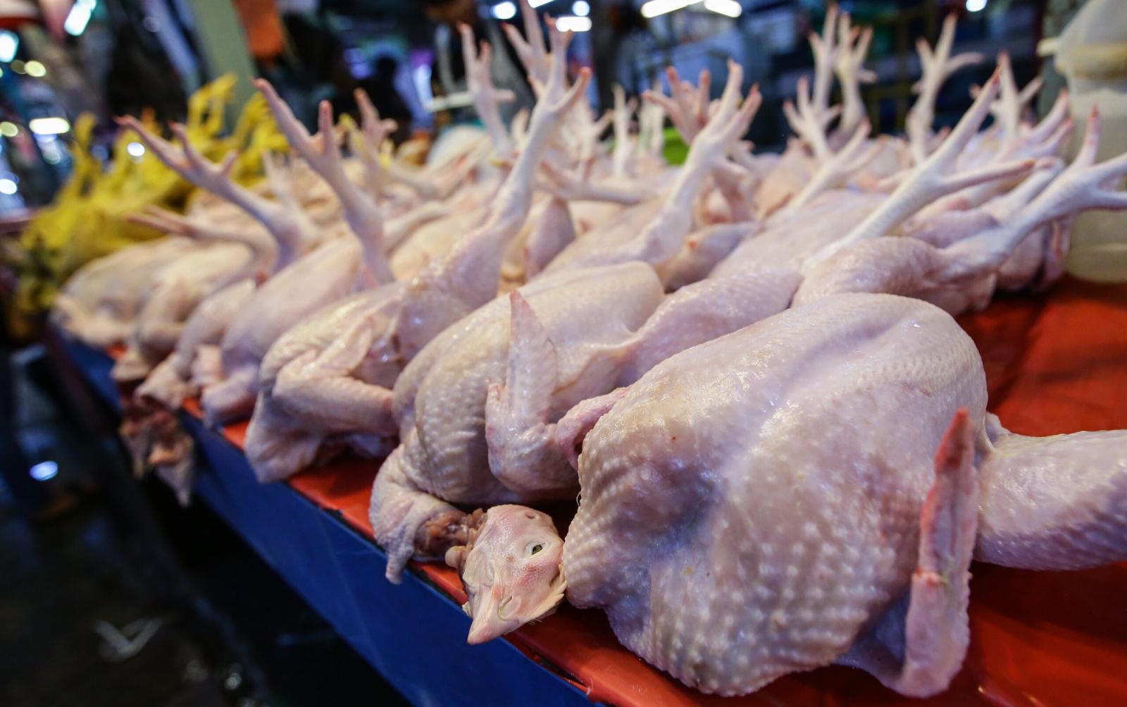 Harga ayam di ladang naik 20 sen, RM11 sekilogram peringkat runcit