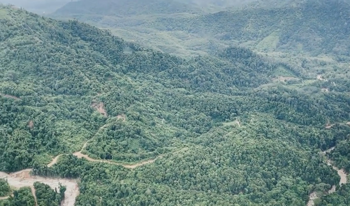 Tiada unsur penyelewengan berkaitan Musang King di Gunung Inas