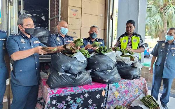 Kastam rampas 3,370kg daun ketum dalam lori dua tan