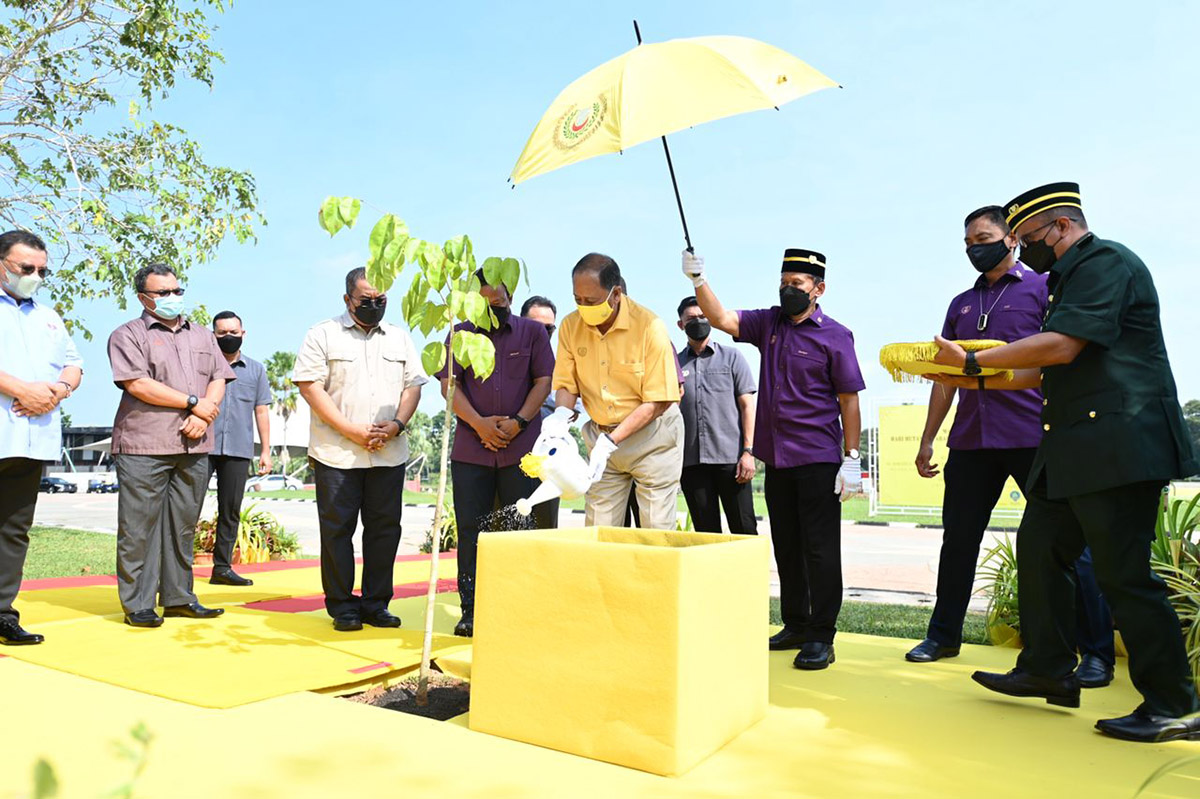 Tiada salah laku tanam Musang King di Gunung Inas