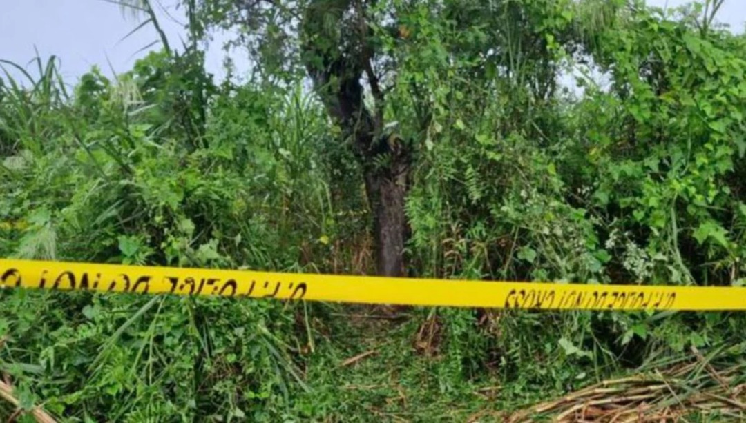 Rogol remaja, gantung mayat mangsa di pokok