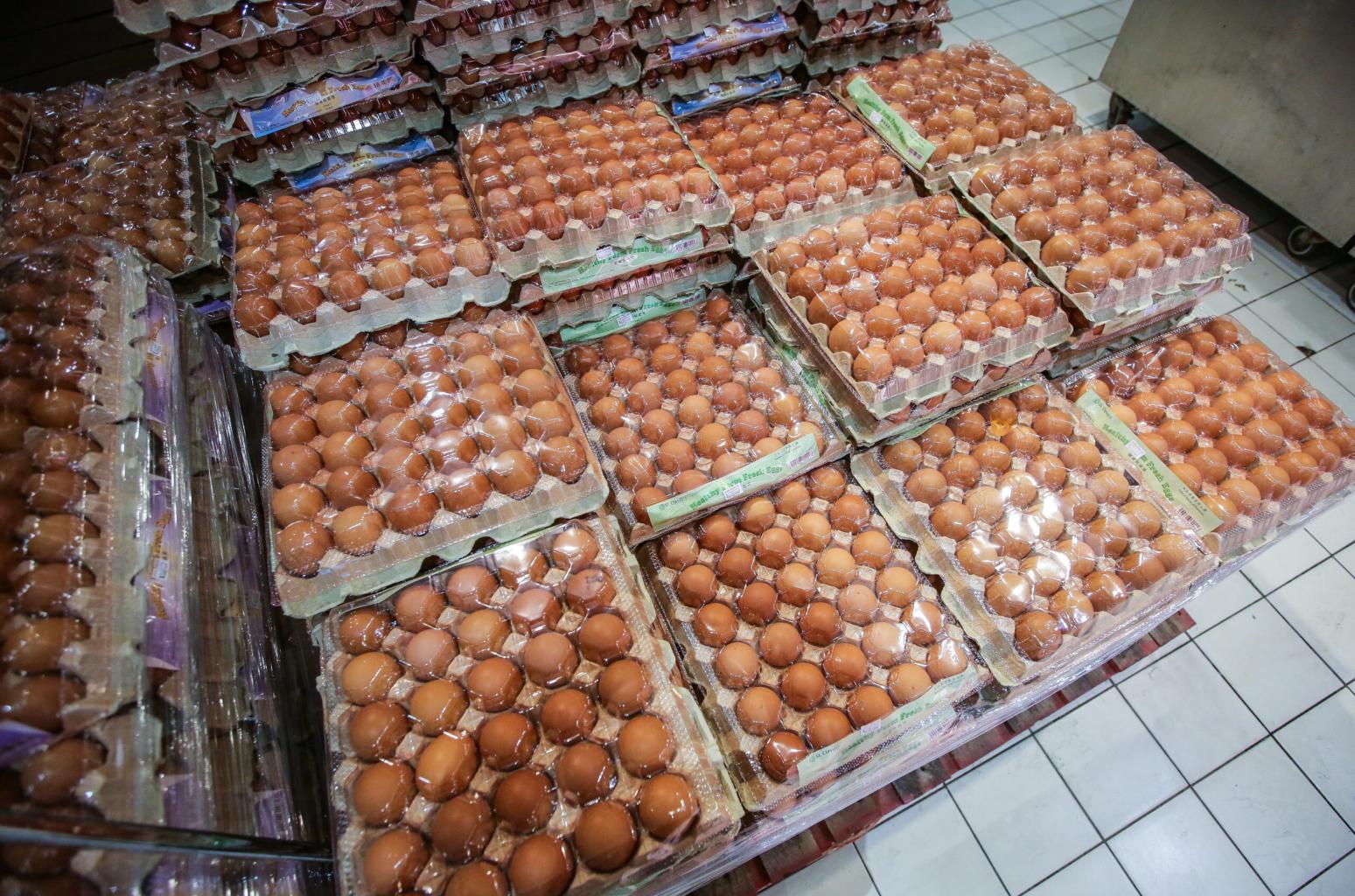 Harga ayam, telur dijangka diapungkan selepas Jun, kata Mat Sabu