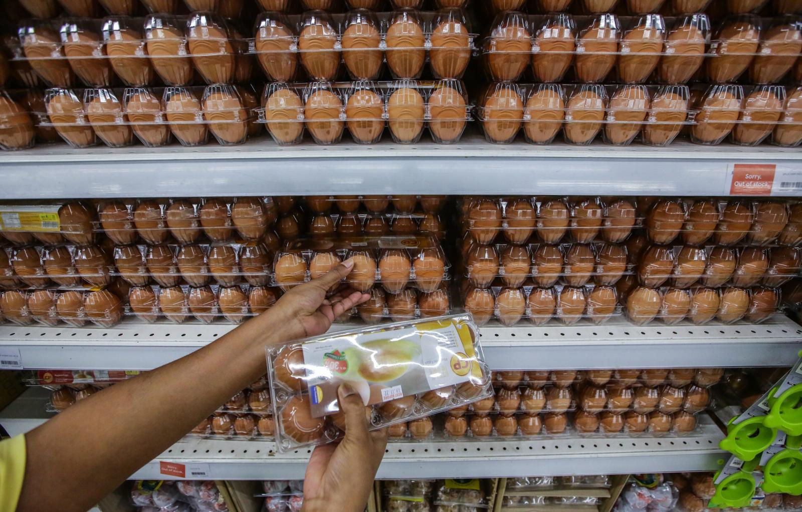 Subsidi telur ayam diteruskan hingga Jun ini