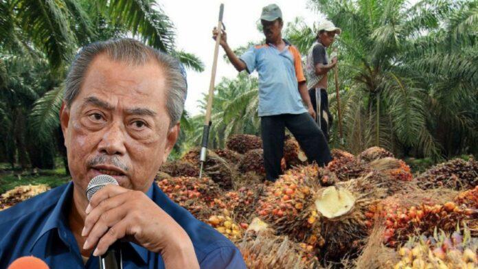 Warga Felda sambut baik tawaran PN