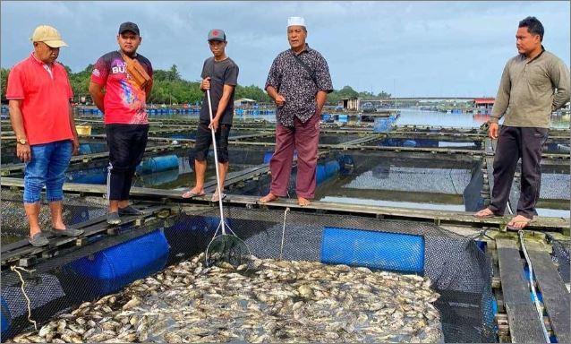 Penternak ikan sangkar rugi lebih RM1 juta akibat banjir