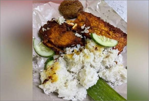 Nasi ayam berempah RM15 sebungkus tular