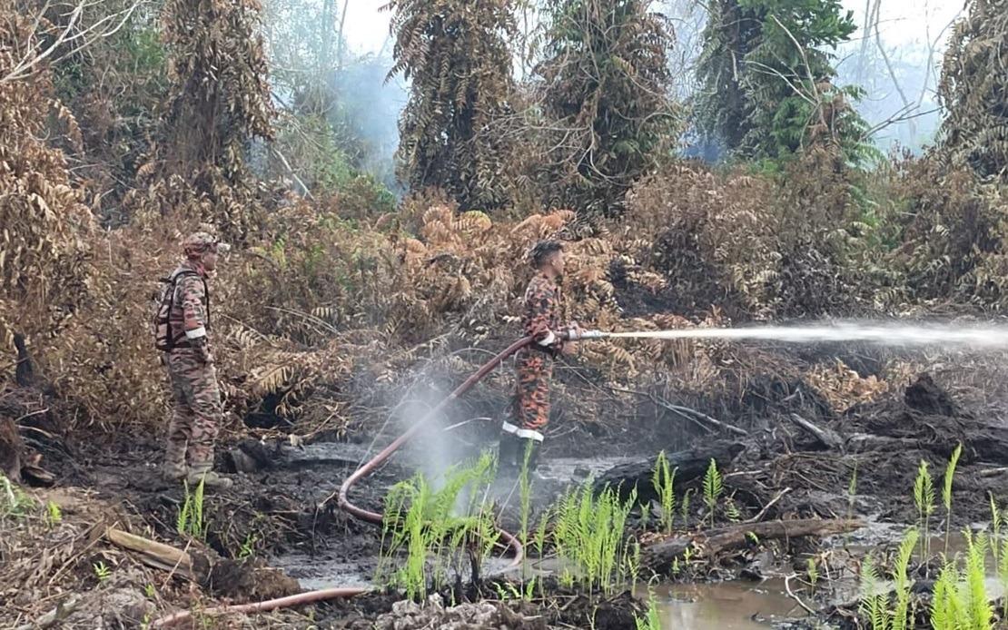 30 hektar kawasan hutan terbakar di Pekan